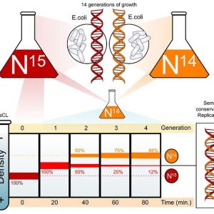 PLANT PHYSIOLOGY BIOCHEMISTRY